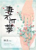 妻不可欺百度百科