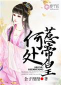 何处惹尘埃作品