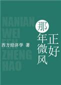 那年的风歌词