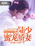 婚路漫漫陆少
