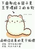 你尾巴戳到我了作者娜小在