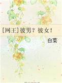 网王彼男彼女免费阅读全文