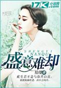 难怀盛意的意思