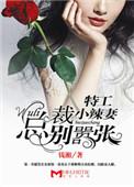 特工总裁小辣妹续集