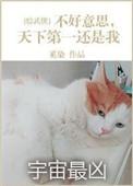 正是在下