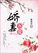 娇妻入怀丁宁