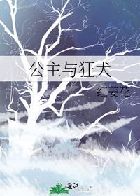 公主与狂犬红姜花