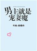 男主宠妻狂魔的宠文