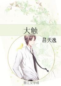 大触by吕天逸txt百度