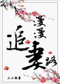 漫漫追妻路总裁大人你好毒