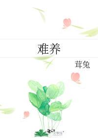 难养的猫