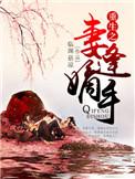 重生之嫡妻谋嫁