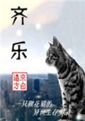 齐乐华 西北工业大学