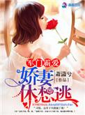 军门蜜爱之娇妻难驯免费阅读全文