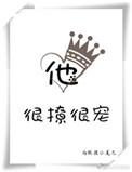 他很撩很宠正序