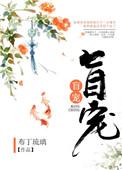 盲宠布丁琉璃免费阅读