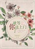 就等你上线了免费阅读全文