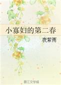 小寡妇的第二春 梦畅文学