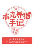 综本丸养猫手记