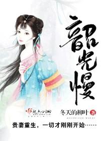 韶光慢txt完整版