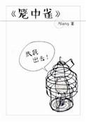 笼中雀苏溶月陆慕言