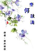 奈何肤浅 非木非石讲的什么
