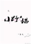 小野猫kiki