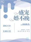 婚宠不休盛爷