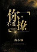 你不准撩车