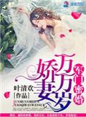 军门蜜婚娇妻万万岁全文免费阅读