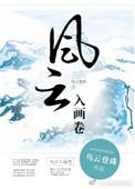 风云入画卷讲了什么