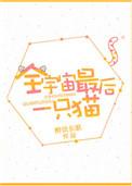 全宇宙最后一只猫番外