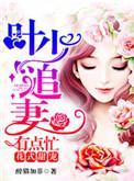 叶少宠妻宠上瘾免费阅读