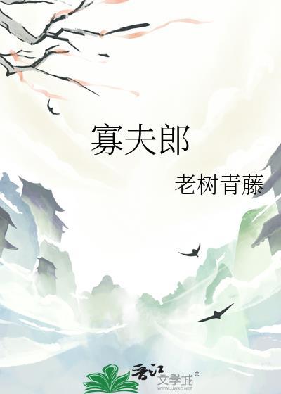 寡夫郎 作者老树青藤