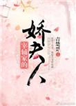 宰辅家的娇夫人好看吗