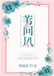苇间风全文