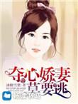 夺心总裁辣妻狂傲如火全文免费阅读
