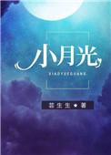 小月光 黄经天歌词
