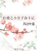 红楼之小太子