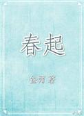 春起 金丙讲的什么