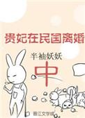 贵妃在民国离婚 谁是男主