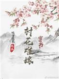 村花难嫁笔趣阁