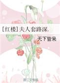 红楼夫人套路深txt百度资源