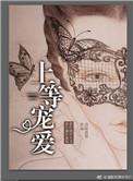 上等宠爱知乎结局