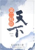 天下第二权臣讲的啥