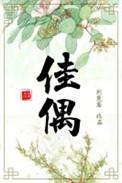 佳偶天成结局