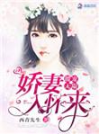 暖妻乖乖受宠更新到多少章