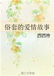 俗套的爱情故事by西西特