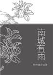 南城有雨番外篇完整版