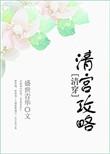 清穿之慢慢清宫路